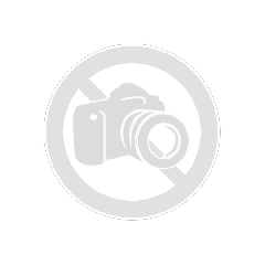 Boost controller/Ladedruckregler elektronisch  mit Schalter + Taktventil